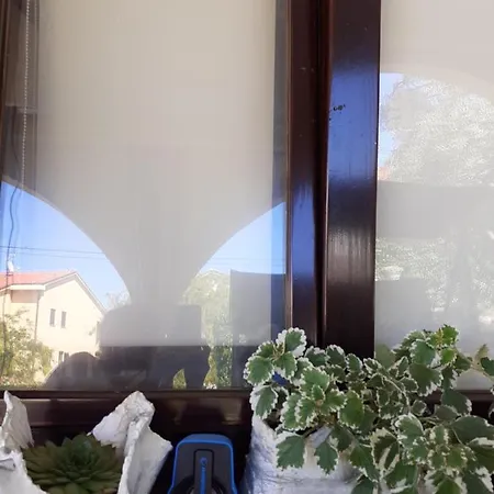 Marinus Hostel
