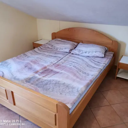 Hostel Marinus *